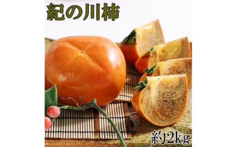 【希少】紀の川柿 約2kg（種無し・黒あま柿）秀