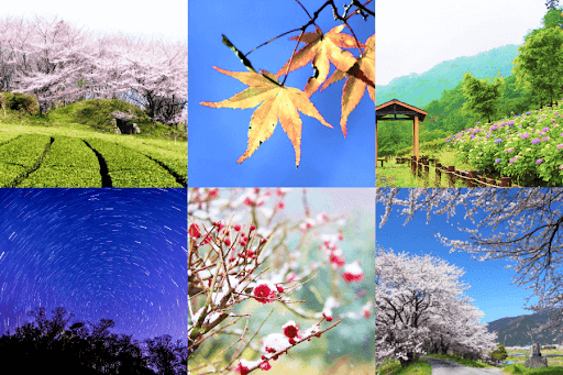 岐阜県池田町 自然