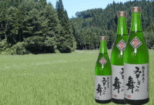 地酒みそぎの舞