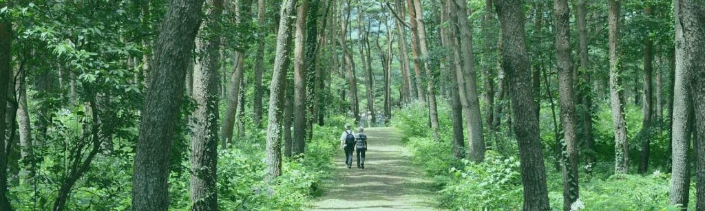 大衡村の自然