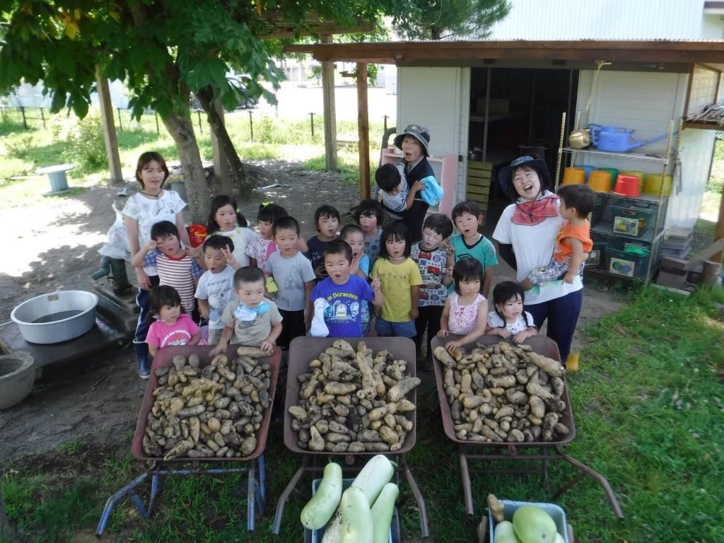 長野県木曽町 収穫する子供たち