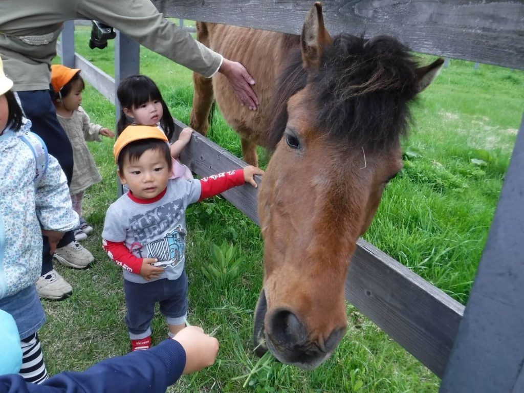 長野県木曽町 馬と触れ合う子供たち