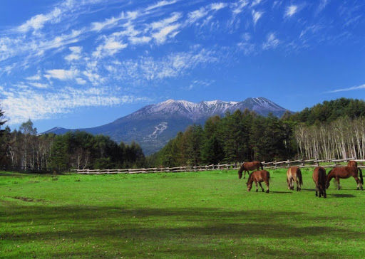 長野県木曽町 牧場と山脈