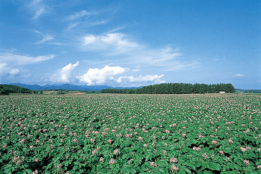 北海道 厚沢部町