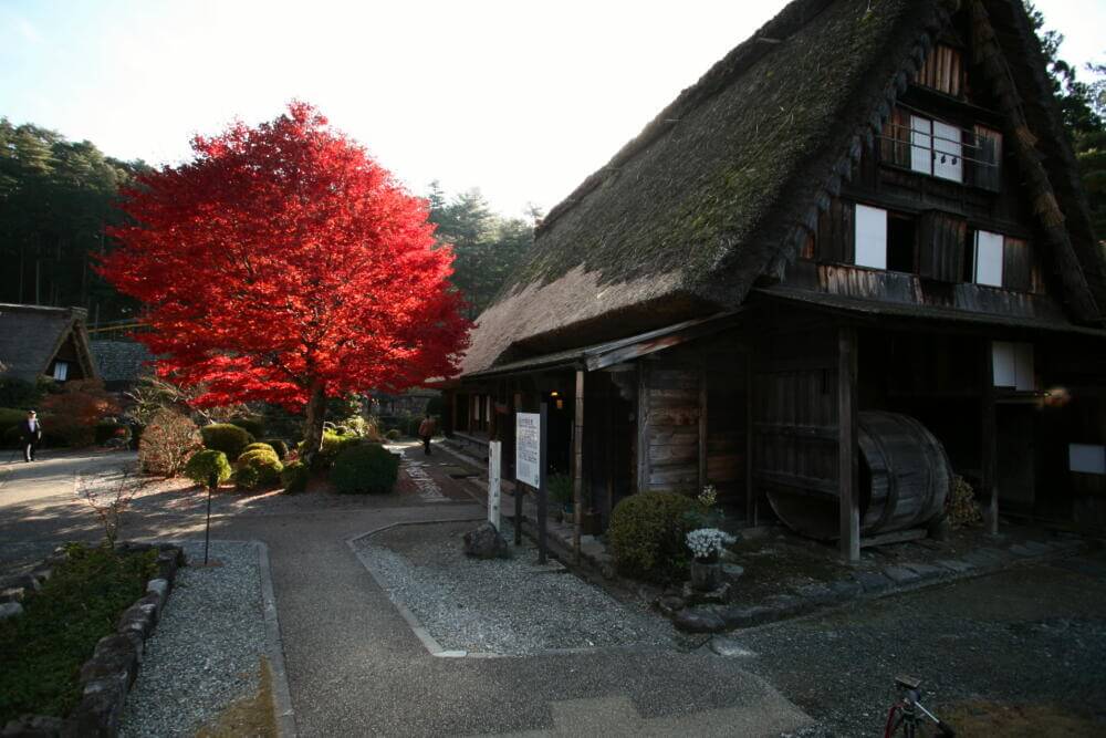 下呂市のもみじと旧大戸家住宅