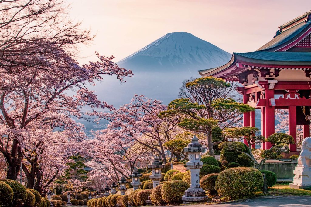 御殿場市の桜