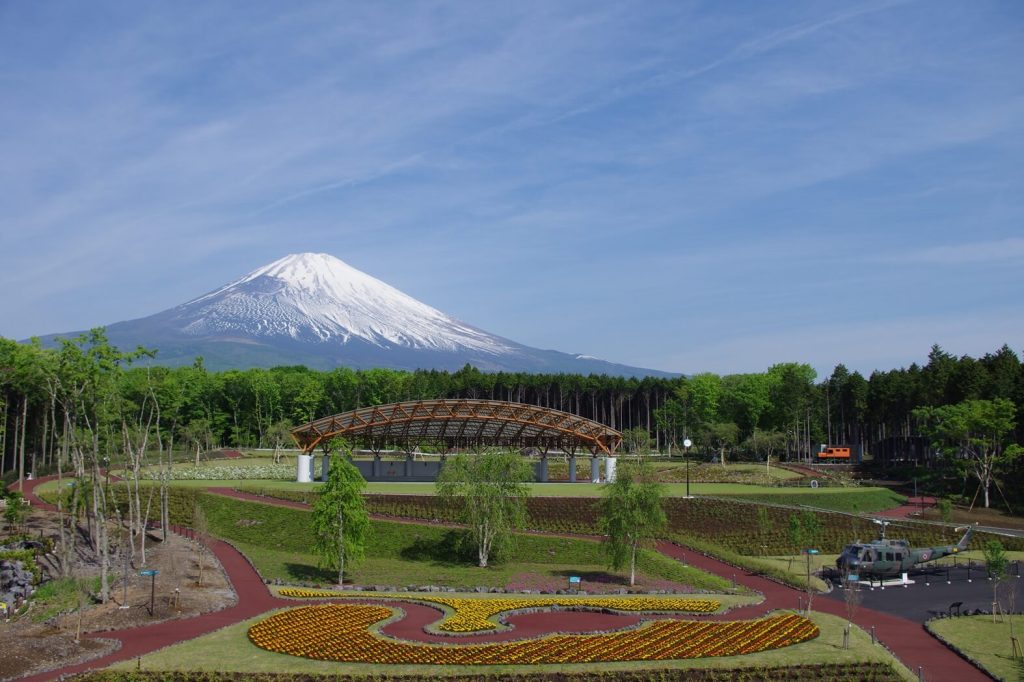 樹空の森
