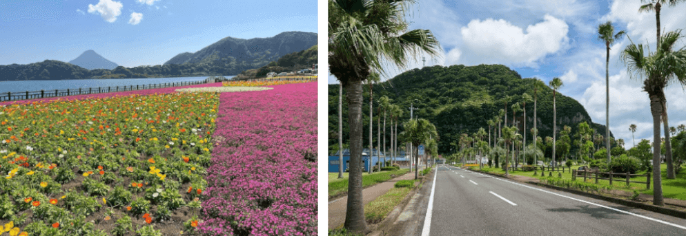 指宿市の池田湖と魚見岳