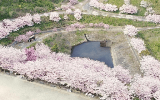 福岡県 糸田町 金山サクラ園