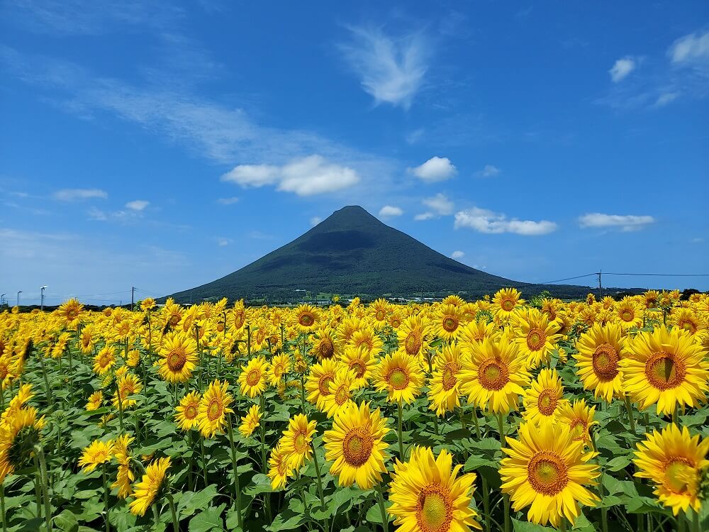 鹿児島県指宿市