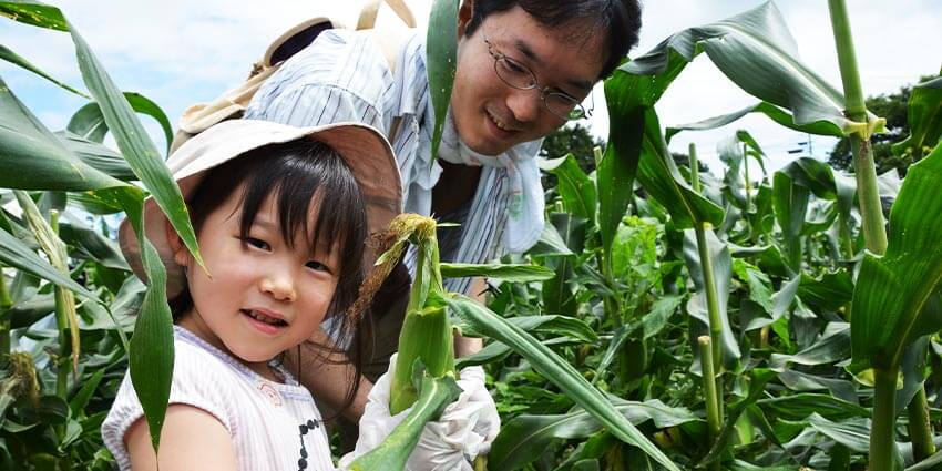 宮城県丸森町 子育て制度