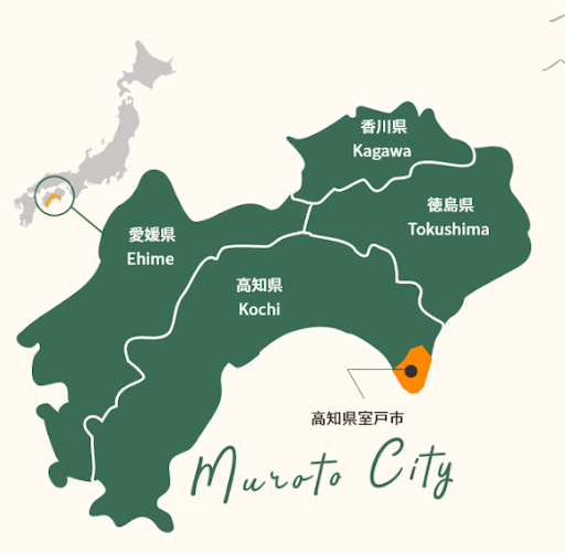 高知県室戸市のマップ
