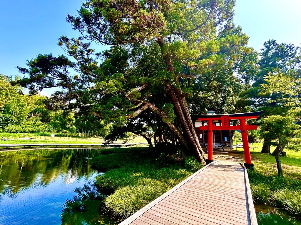 中井町の厳島湿生公園