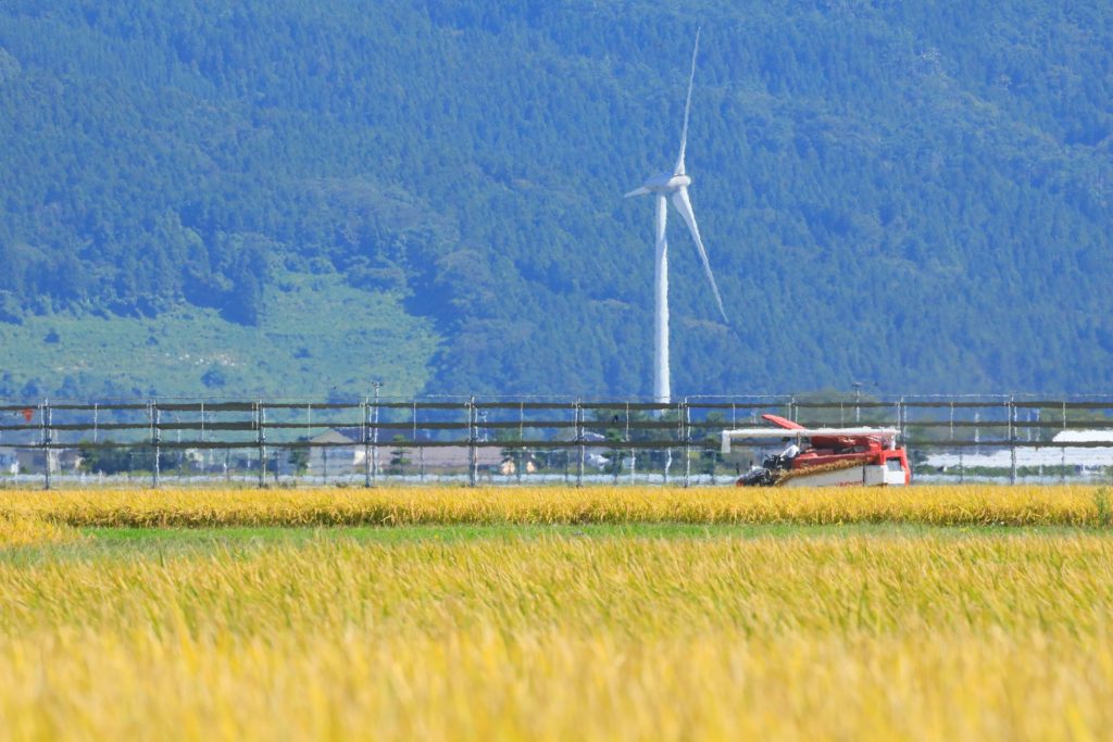 山形県庄内町 田園風景