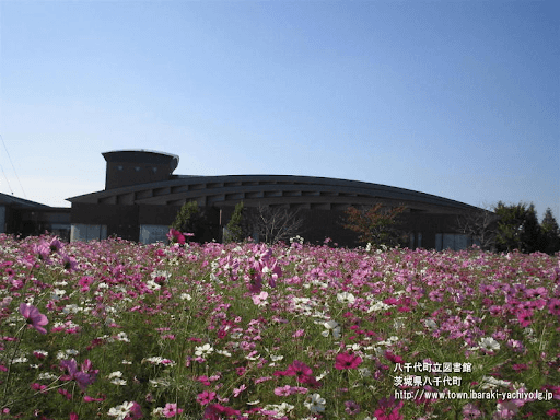 茨城県八千代町