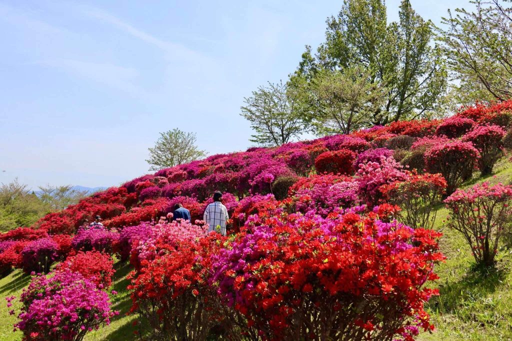 熊本県山江村　丸岡公園