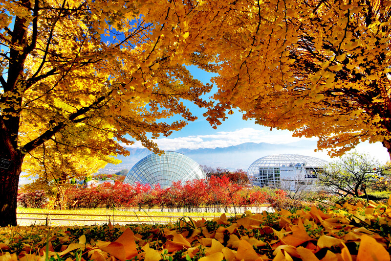 山梨市の笛吹川フルーツ公園