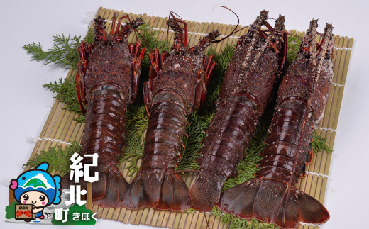 バタバタしたら角と足がとれちゃいました 活冷伊勢