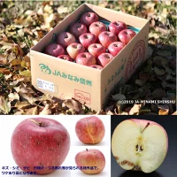 ＜先行予約＞りんご シナノスイート＜ご家庭用＞[10〜18玉]※2022年10月上旬〜10月下旬発送※