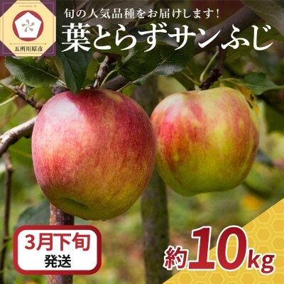 ※選べる配送時期※ 訳あり 不揃い サンふじ りんご 10kg 青森 【 りんご10キロ 1月 2月 3月 】