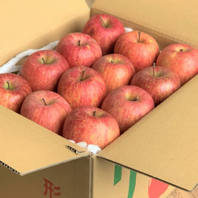 ※2022年3月下旬発送※りんご 10kg サンふじ 葉とらず 青森