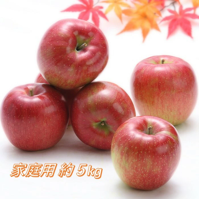 【2022年10月〜11月発送 先行予約】長野市産シナノスイート家庭用 約10kg ※オンライン決済限定 【果物類・林檎・りんご・リンゴ】 お届け：2022年10月15日〜11月10日