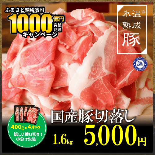 【期間限定】氷温(R)熟成豚 国産豚切落し1.6
