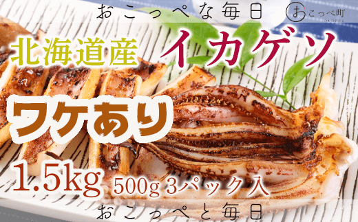 【ワケあり】北海道産 イカゲソ1.5kg