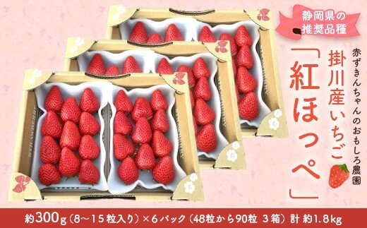 掛川産いちご　紅ほっぺ　約300g×６パック計1
