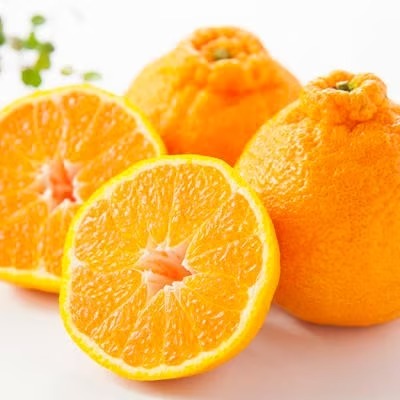 紀州有田産のデコポン約5kg(18玉～24玉入り)