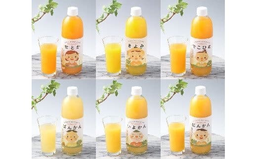 マルワフルーツ柑橘アソート6本セット手提げ箱