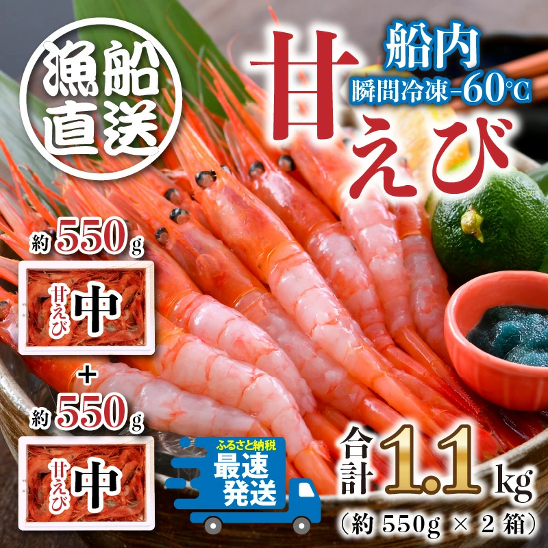 甘えび 約1.1kg 海の上で食べる味 坂井市産