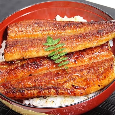 特大サイズ国産うなぎ蒲焼2本セット(200~22