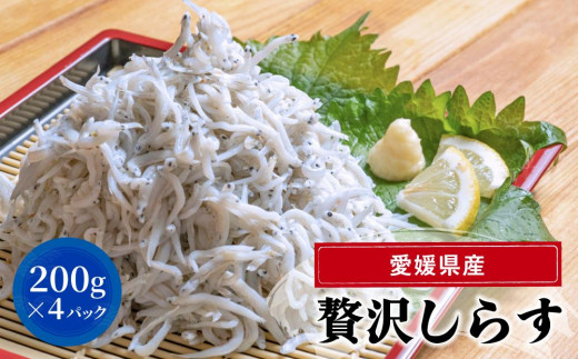 たっぷり愛媛県産贅沢しらす 200g×4