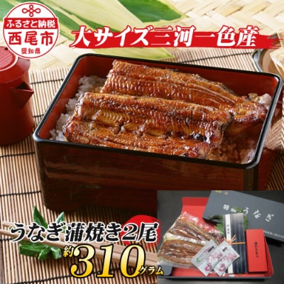 三河一色産うなぎ蒲焼 大サイズ2尾 無頭(1尾約