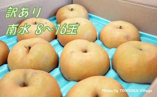 梨 南水※訳あり品 5キロ箱※【8～16玉】