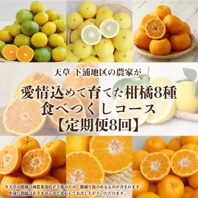 【定期便8回】天草 下浦地区の柑橘5種