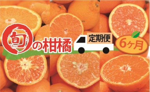 【全6か月定期便】 旬の柑橘類コース