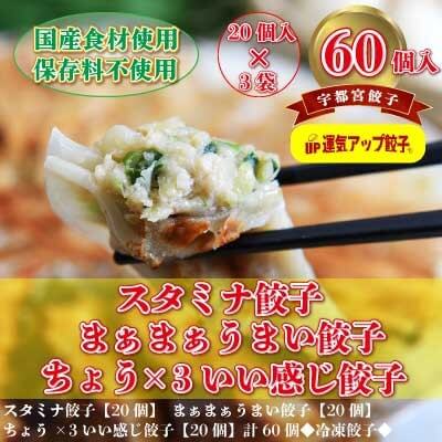 宇都宮餃子 豚餃子3種類(合計60個) 保存料不