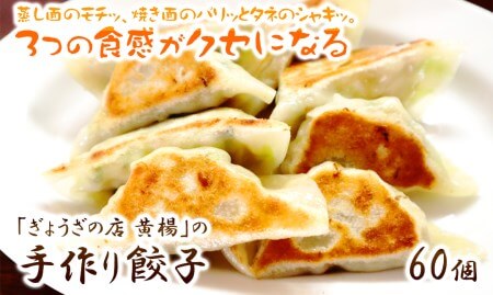 「ぎょうざの店 黄楊」の手作り餃子 60個 A3