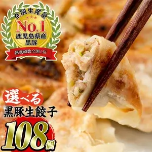 【小分けで便利150個】博多黒豚一口餃子 タレと