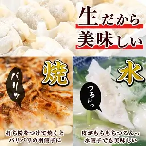 タレ付き!鹿児島うんまか豚生餃子(計144個・1
