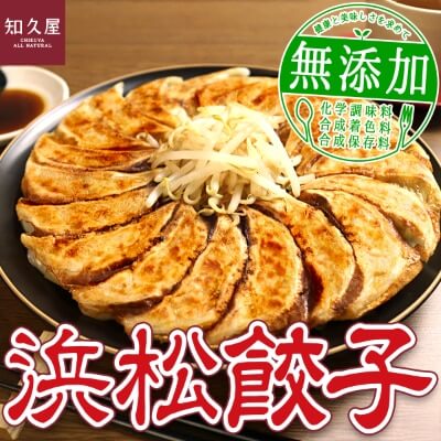 浜松餃子たっぷりセット(無添加ぎょうざ100個)