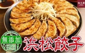 知久屋［ちくや］浜松餃子たっぷりセット 計100個