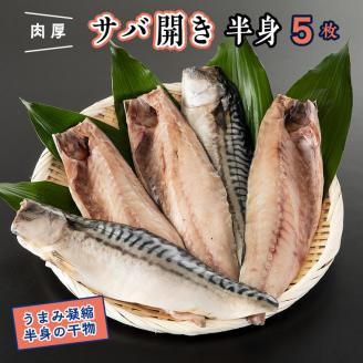 干物 サバ開き 半身 カジマ 特大 肉厚 さば 