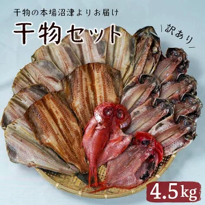 干物の本場 沼津よりお届け 訳あり 干物 4.5kg セット 大容量 魚 干物 焼くだけ