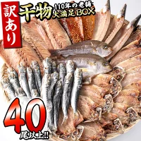 訳あり 干物 魚 40尾以上(約5〜7種) 規格外 簡易包装 小分け ひもの ギフト 詰め合わせ お取り寄せ グルメ 大分 アジ イワシ サバ かます 冷凍 佐伯市