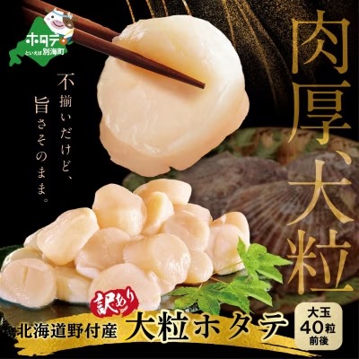 北海道野付産大粒ホタテ40粒前後