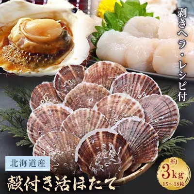 活ほたて約3kg(15～18枚)