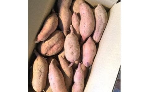 栽培期間中農薬不使用さつまいも「安納芋」5kg